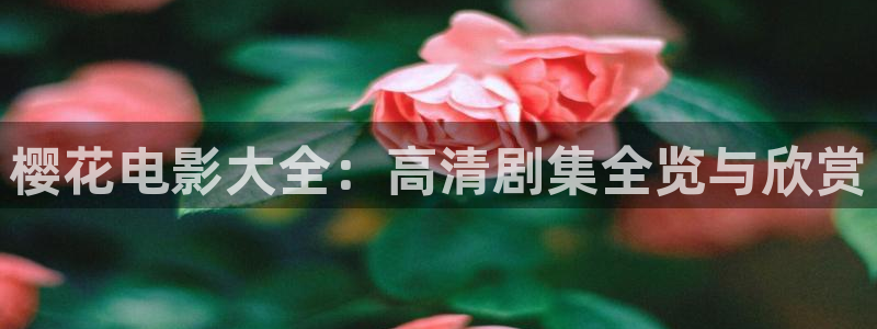神马影院电视剧在线观看免费