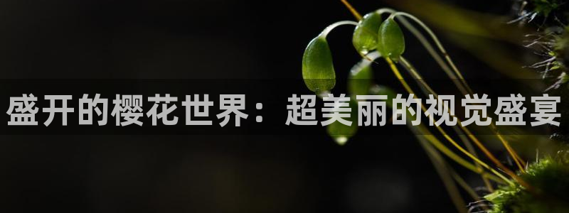 星空传媒电影