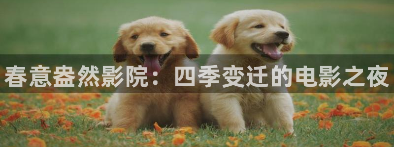 神马影院影讯