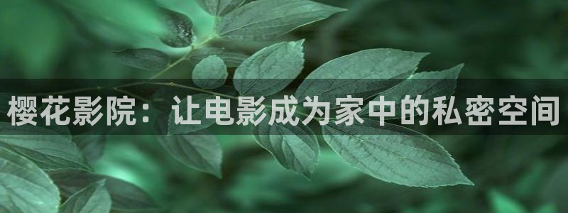 星空影城今日放映
