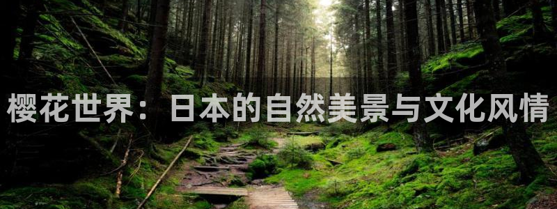 在线观看星空影视
