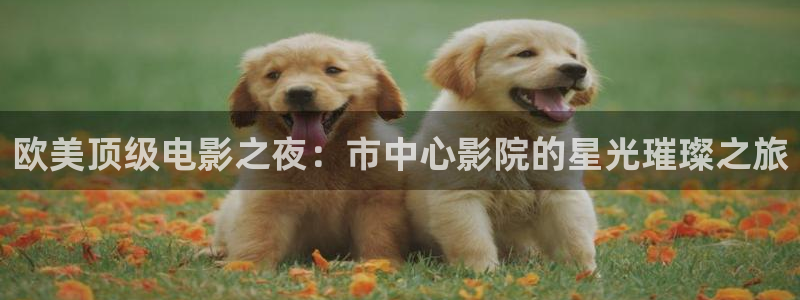 宿州星空电影影讯