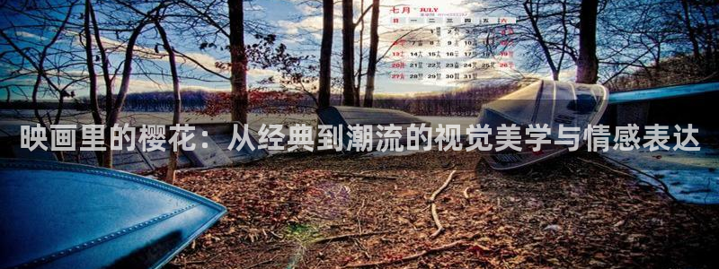 神马影院免费观看电视剧电影大全