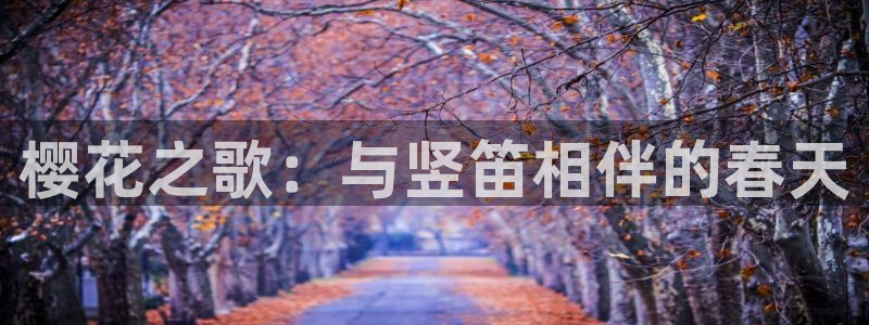 星空影视免