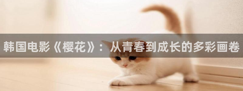 神马影院网站
