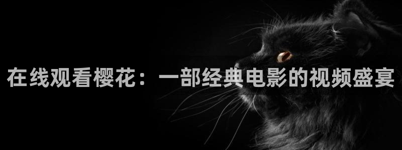 神马影院理论
