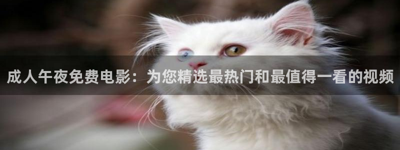 日正当中的星空 电影