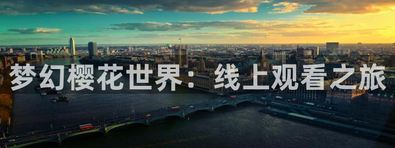 星空影视vip破解版