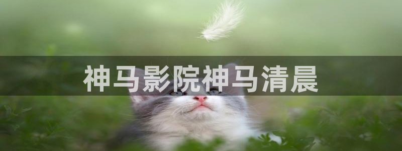 神马影院手机电视剧
