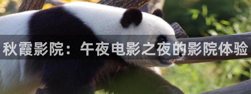 星辰影院 星辰影视 神马影院