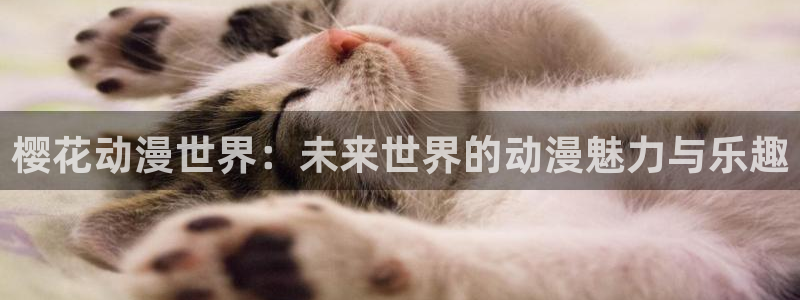 星空无痕mv高清在线播放