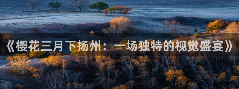 神马影院免费高清视频