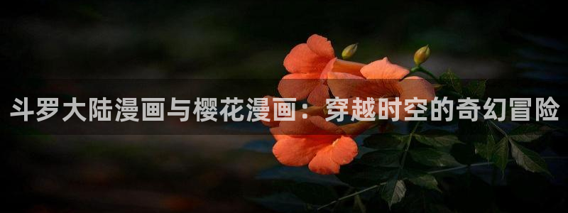 神马影院高清
