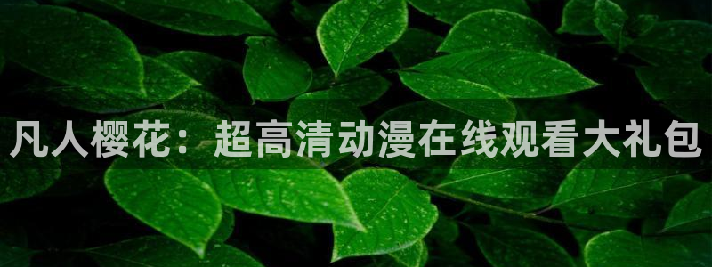 神马影院免费在线看电影