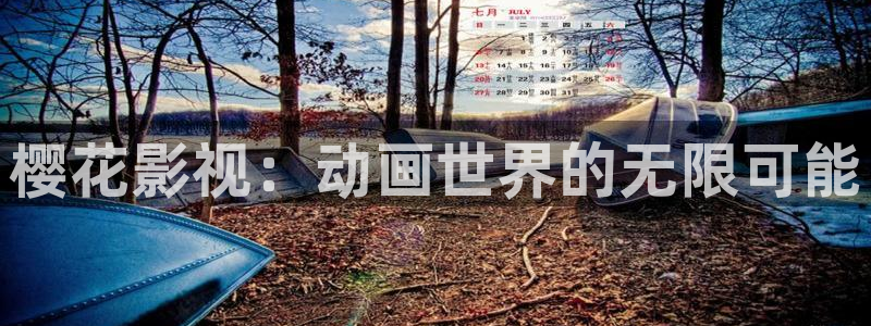 梵高的星空电影