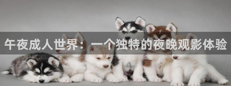 下载星空影视