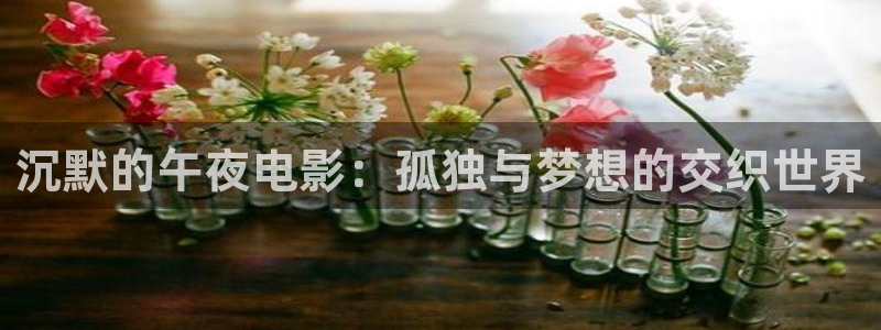星空影视旧版下载