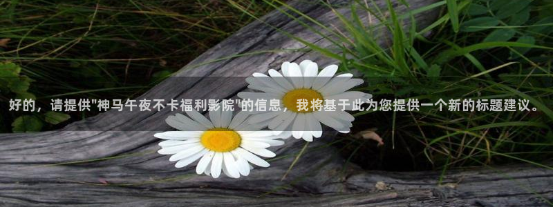 神马影院在线免费电影完整版