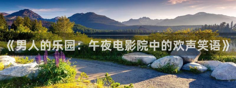 星空影视手机