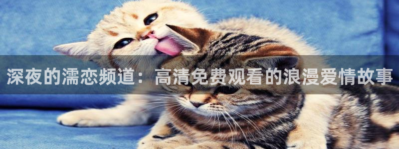 星空传媒高清在线观看