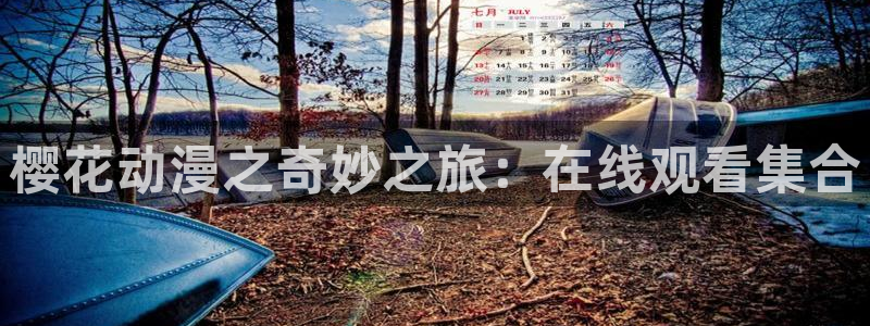 神马影院在线观看免费下载