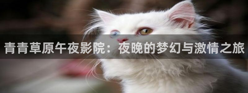 星空背景图片